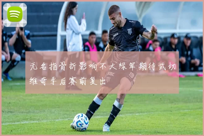 无名指骨折影响不大绿军期待武切维奇季后赛前复出