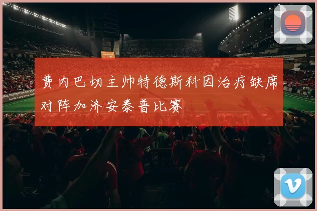 费内巴切主帅特德斯科因治疗缺席对阵加济安泰普比赛