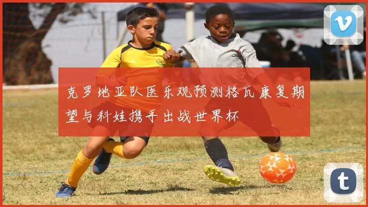 克罗地亚队医乐观预测格瓦康复期望与科娃携手出战世界杯